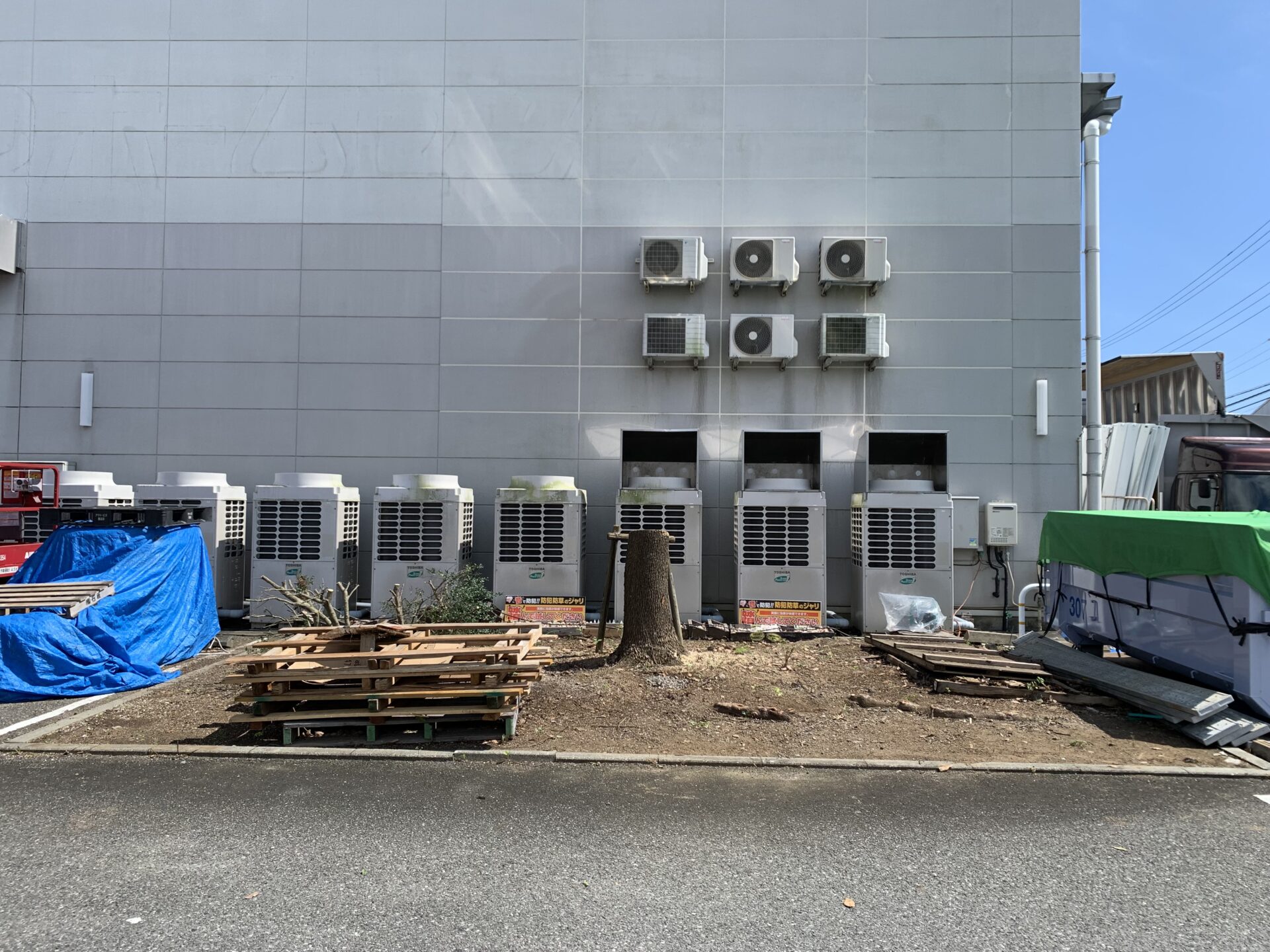静岡県藤枝市での安全な樹木伐採工事